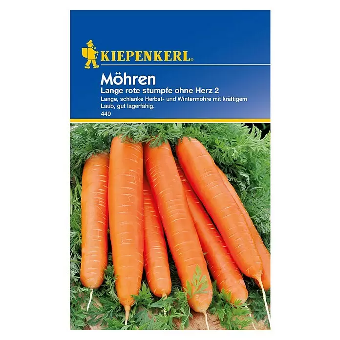 Kiepenkerl Gemüsesamen Möhren - Daucus carota ssp. sativus, Saatzeit: März, Erntezeit: September - Ein Bund langer, schlanker, rot-oranger Möhren mit grünen Blättern, auf einer Fläche liegend.