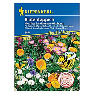 Kiepenkerl Profi-Line Blumensamenmischung Blumen-Mischung (Mischung, Mehrfarbig, 2 m²)