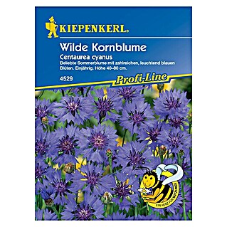 Kiepenkerl Profi-Line Blumensamen Wilde Kornblume (Centaurea cyanus, Blau, Saatzeit: März, Blütezeit: Juni, 3 m²)