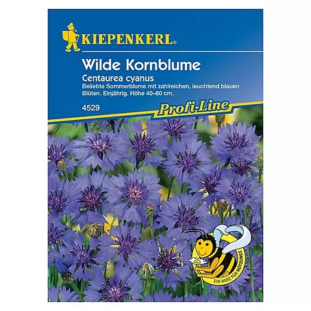 Kiepenkerl Profi-Line Blumensamen Wilde Kornblume