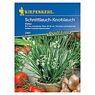 Kiepenkerl Profi-Line Kräutersamen Schnittknoblauch (Allium tuberosum, Saatzeit: April, Erntezeit: Ganzjährig)