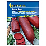 Kiepenkerl Profi-Line Gemüsesamen Rote Bete (Beta vulgaris, Saatzeit: April, Erntezeit: Juli) | BAUHAUS