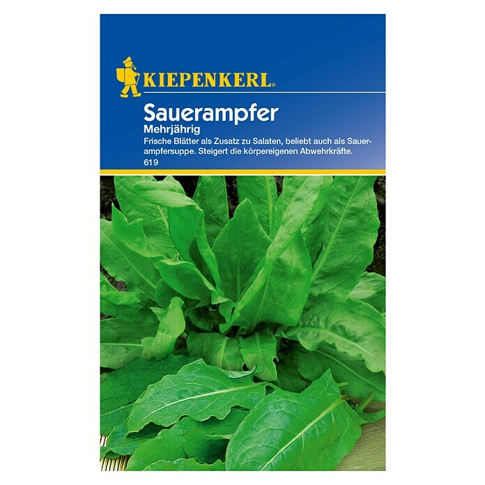 Kiepenkerl Gemüsesamen Sauerampfer (Rumex acetosa, Saatzeit: März, Erntezeit: Juni) | BAUHAUS