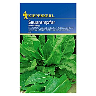 Kiepenkerl Gemüsesamen Sauerampfer (Rumex acetosa, Saatzeit: März, Erntezeit: Juni)