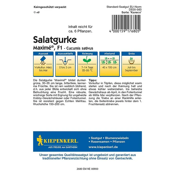 Kiepenkerl Profi-Line Gemüsesamen Salatgurken Maximé® - Cucumis sativus, Saatzeit: März, Erntezeit: Juli - Bild einer Salatgurken-Samenpackung 'Maximé F1'. Informationen zu Aussaat, Keimung und Erntezeit sind aufgedruckt.