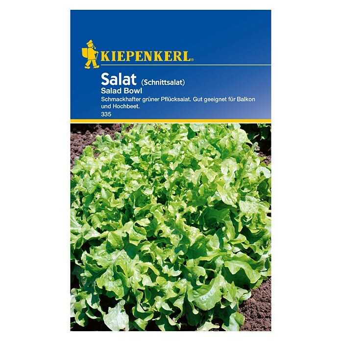 Kiepenkerl Salatsamen Pflücksalat (Lactuca sativa, Erntezeit: Mai, 1,5 g) | BAUHAUS