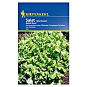 Kiepenkerl Salatsamen Pflücksalat (Lactuca sativa, Erntezeit: Mai, 1,5 g) | BAUHAUS