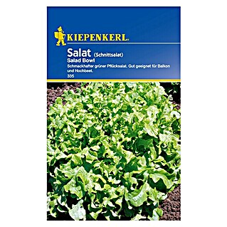 Kiepenkerl Salatsamen Pflücksalat (Lactuca sativa, Erntezeit: Mai, 1,5 g)