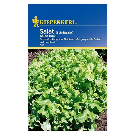 Kiepenkerl  Salatsamen Pflücksalat