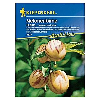 Kiepenkerl Profi-Line Obstsamen Melonenbirnen (Solanum muricatum, Erntezeit: Juli)