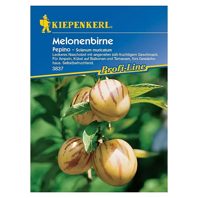 Kiepenkerl Profi-Line Obstsamen Melonenbirnen - Solanum muricatum, Erntezeit: Juli - KIEPENKERL® Melonenbirne Pepino mit gelblichen Früchten und roten Streifen, als süß-fruchtiges Naschobst beschrieben. Profi-Line.