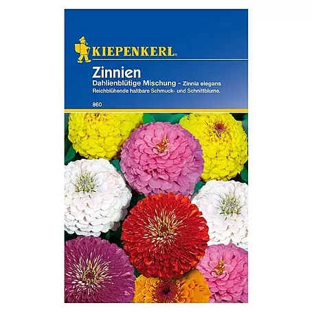 Kiepenkerl  Blumensamen Zinnien
