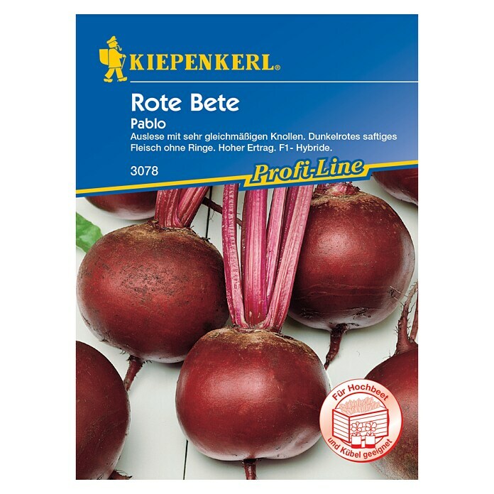 Kiepenkerl Profi-Line Gemüsesamen Rote Bete (Beta vulgaris var. vulgaris, Saatzeit: April, Erntezeit: August) | BAUHAUS