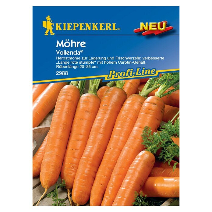 Kiepenkerl Profi-Line Gemüsesamen Möhren (Daucus carota, Saatzeit: März ...