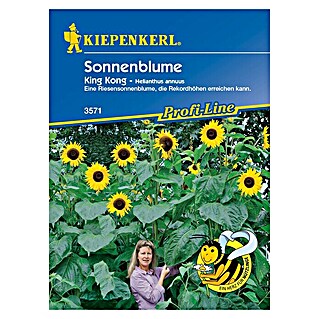 Kiepenkerl Profi-Line Blumensamen Sonnenblumen (Helianthus annuus, Gelb, Saatzeit: April, Blütezeit: August)