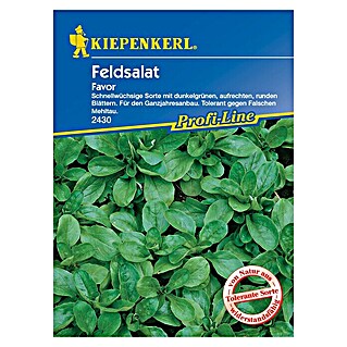 Kiepenkerl Profi-Line Salatsamen Feldsalat (Valerianella locusta, Erntezeit: Ganzjährig, 3 g)