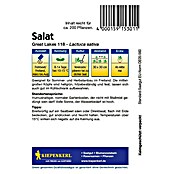 Kiepenkerl Salatsamen Eissalat (Lactuca sativa, Erntezeit: Mai, 1 g) | BAUHAUS