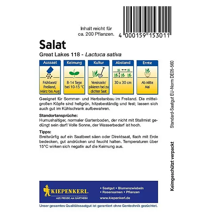 Kiepenkerl Salatsamen Eissalat - Lactuca sativa, Erntezeit: Mai, 1 g - Samenpäckchen für Salatsorte 'Great Lakes 118 - Lactuca sativa' mit Aussaat-, Keimungs-, Kultur- und Ernteinformationen von Kiepenkerl.