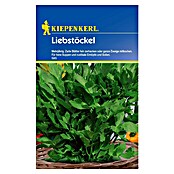 Kiepenkerl Kräutersamen Liebstöckel (Levisticum officinale, Saatzeit: März, Erntezeit: Juni) | BAUHAUS