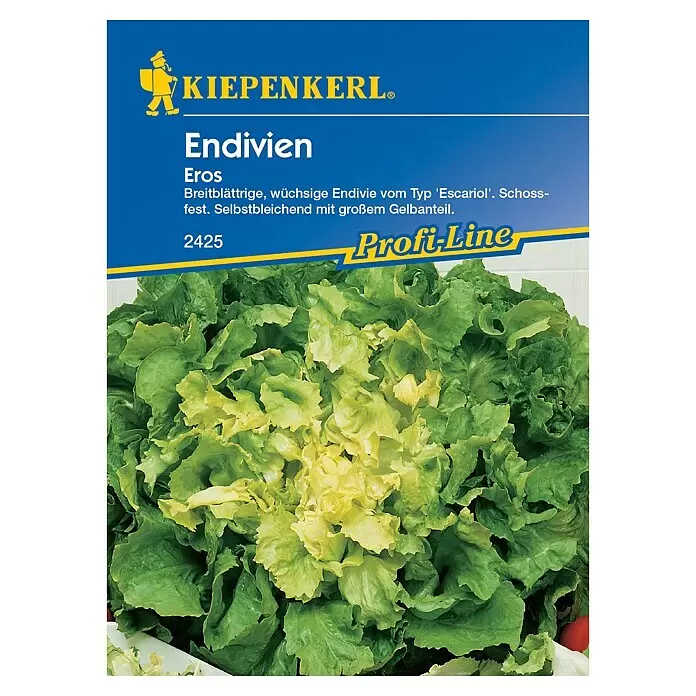 Kiepenkerl Profi-Line Salatsamen Endivien - Cichorium endivia, Erntezeit: Juli - KIEPENKERL Endiviensaatgut 'Eros' Paket mit frischer, breitblättriger Endivie mit gelbem, blanchiertem Herz.