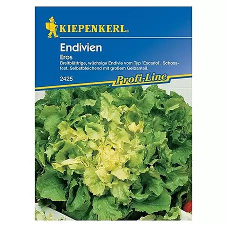 Kiepenkerl Profi-Line Salatsamen Endivien