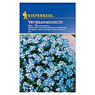 Kiepenkerl Blumensamen Vergissmeinnicht (Myosotis sylvatica, Blau, Saatzeit: Mai, Blütezeit: März)