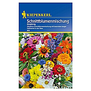 Kiepenkerl Blumensamenmischung Schnittblumenmischung (Mischung, Mehrfarbig)