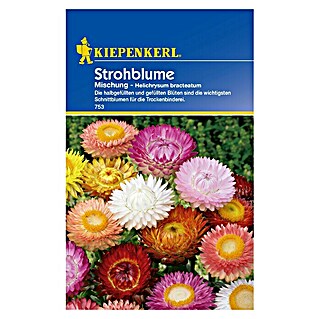 Kiepenkerl Blumensamen Strohblumen (Helichrysum bracteatum, Mehrfarbig, Saatzeit: März, Blütezeit: Juli)