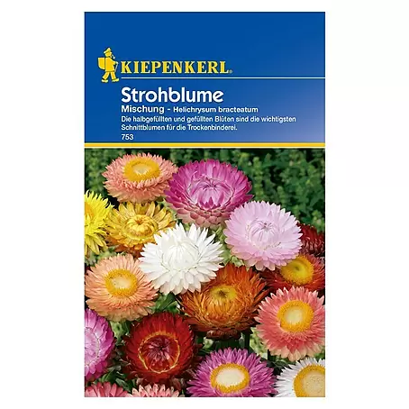 Kiepenkerl  Blumensamen Strohblumen
