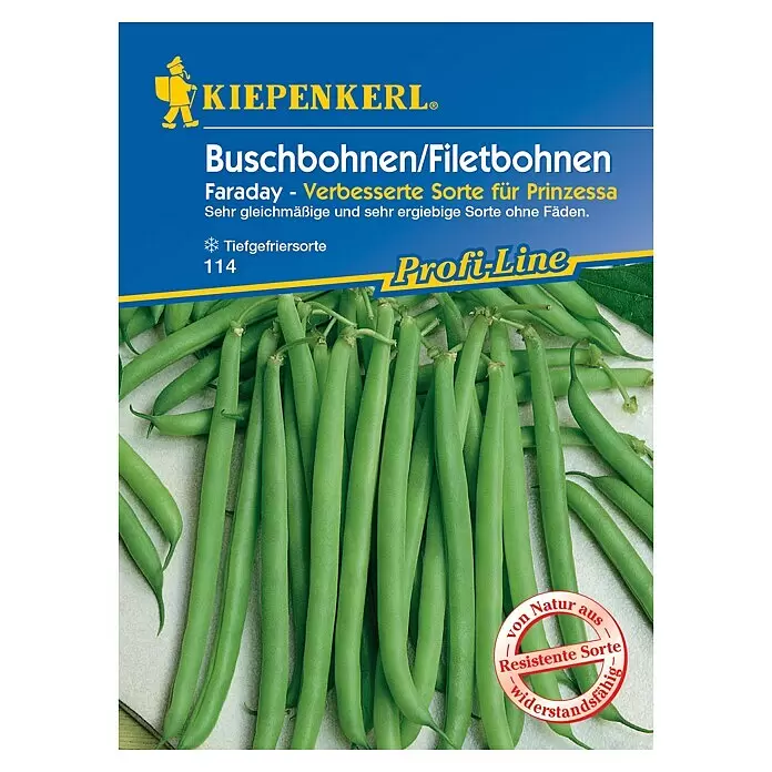 Kiepenkerl Profi-Line Gemüsesamen Buschbohnen - Phaseolus vulgaris var. nanus, Saatzeit: Mai, Erntezeit: Juli - Samenpackung für Kiepenkerl Faraday Buschbohnen mit frischen grünen Bohnen.
