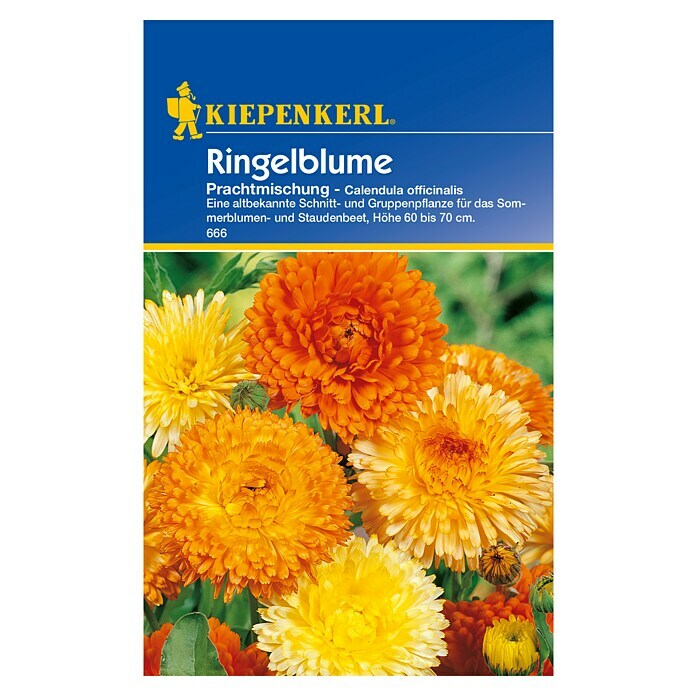 Kiepenkerl Blumensamen Ringelblumen (Calendula officinalis, Mehrfarbig, Saatzeit: März, Blütezeit: Juli) | BAUHAUS