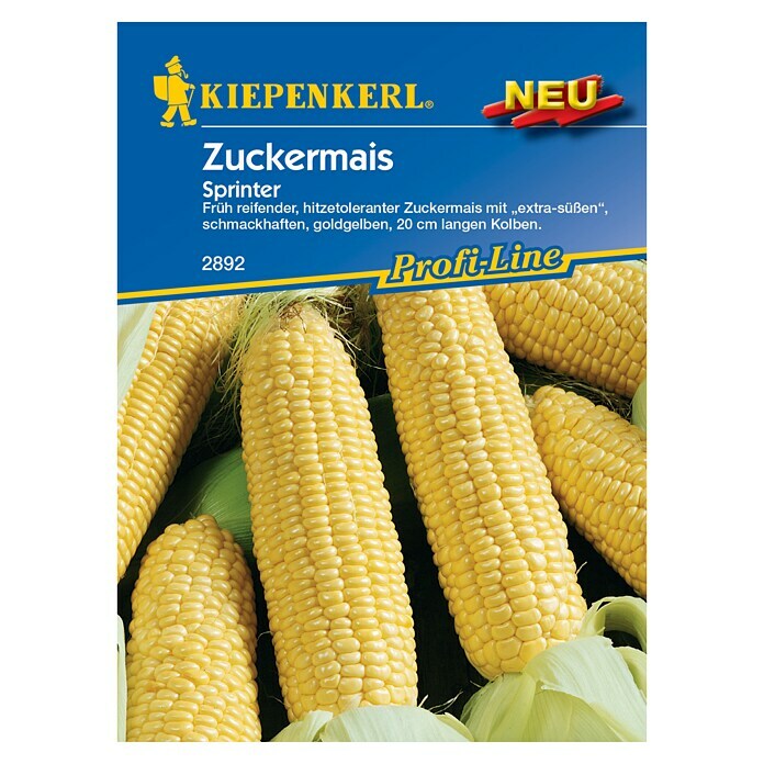 Kiepenkerl Profi-Line Gemüsesamen Zuckermais (Zea mays, Saatzeit: April, Erntezeit: August) - 2 Stück