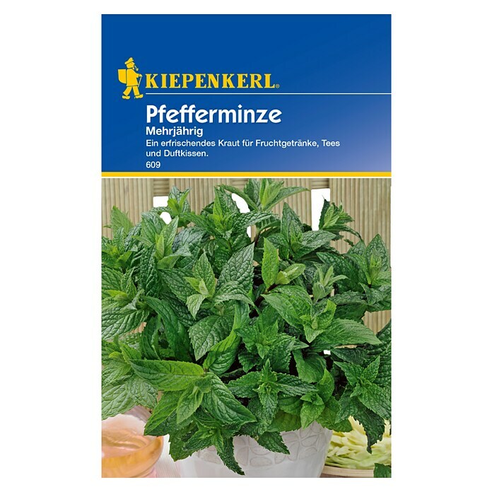 Kiepenkerl Kräutersamen Pfefferminze (Mentha piperita, Saatzeit: März, Erntezeit: Juni) | BAUHAUS