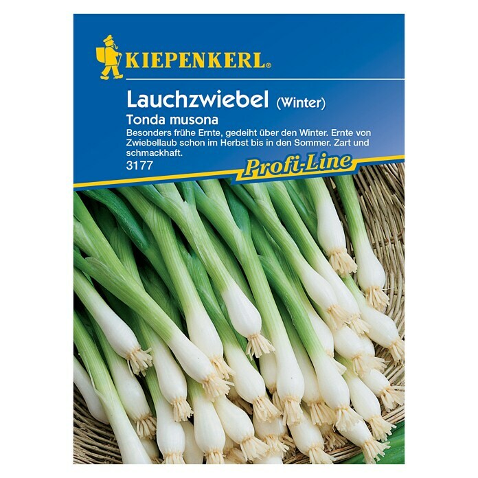 Kiepenkerl Profi-Line Gemüsesamen Winterlauchzwiebel (Allium cepa, Saatzeit: Juli, Erntezeit: April) | BAUHAUS