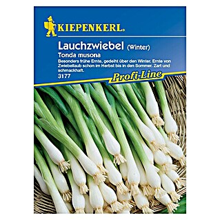 Kiepenkerl Profi-Line Gemüsesamen Winterlauchzwiebel (Allium cepa, Saatzeit: Juli, Erntezeit: April)