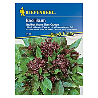 Kiepenkerl Profi-Line Kräutersamen Thaibasilikum (Ocimum basilicum, Saatzeit: April, Erntezeit: Juli, Blütezeit: Juli)