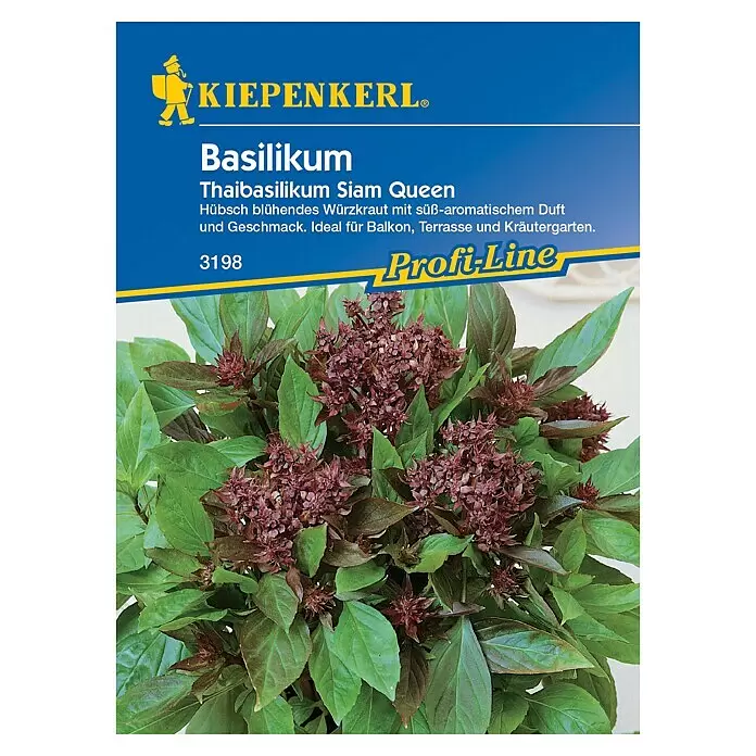 Kiepenkerl Profi-Line Kräutersamen Thaibasilikum - Ocimum basilicum, Saatzeit: April, Erntezeit: Juli, Blütezeit: Juli - Kiepenkerl Samenpaket für Thaibasilikum 'Siam Queen' mit grünen Blättern und rot-violetten Blüten.