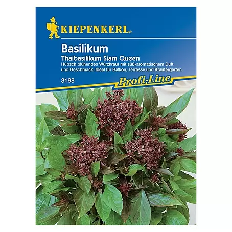 Kiepenkerl Profi-Line Kräutersamen Thaibasilikum