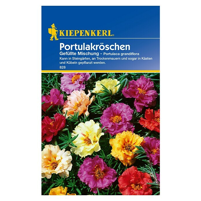 Kiepenkerl Blumensamen Portulakröschen (Portulaca grandiflora, Mehrfarbig, Saatzeit: März, Blütezeit: Juni) | BAUHAUS