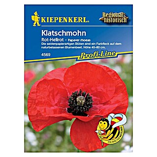 Kiepenkerl Profi-Line Blumensamen Klatschmohn (Papaver rhoeas, Rot, Saatzeit: April, Blütezeit: Juni, 3 m²)
