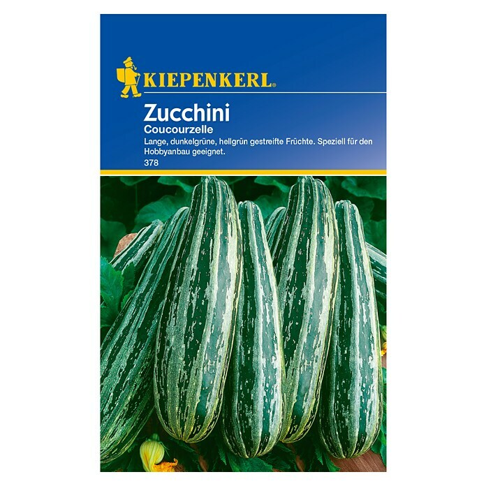 Kiepenkerl Gemüsesamen Zucchini (Cucurbita pepo, Saatzeit: April, Erntezeit: Juli) | BAUHAUS