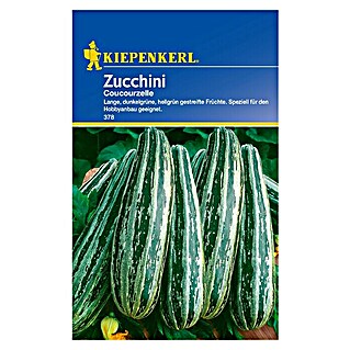 Kiepenkerl Gemüsesamen Zucchini (Cucurbita pepo, Saatzeit: April, Erntezeit: Juli)