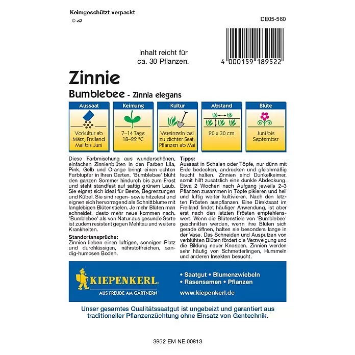 Kiepenkerl Profi-Line Blumensamen Zinnien - Zinnia elegans, Mehrfarbig, Saatzeit: März, Blütezeit: Juni - Weißes Kiepenkerl Zinnia 'Bumblebee' (Zinnia elegans) Saatguttütchen mit deutscher Anleitung und Branding.