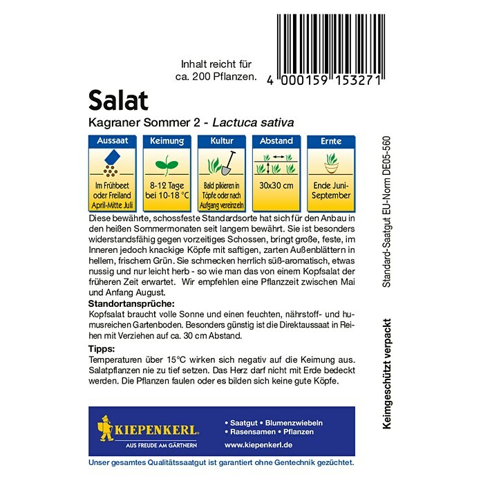 Kiepenkerl Salatsamen Kopfsalat (Lactuca sativa var. capitata, Erntezeit: Juni, 2 g) | BAUHAUS