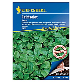 Kiepenkerl Profi-Line Salatsamen Feldsalat (Valerianella locusta)