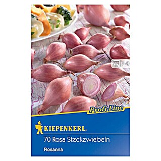 Kiepenkerl Steckzwiebeln Rosanna (Allium cepa, Ausführungseigenschaft: Erntezeit: Juli - August)