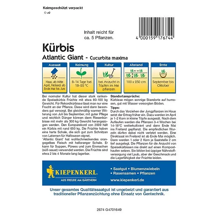 Kiepenkerl Profi-Line Gemüsesamen Kürbis - Cucurbita maxima, Saatzeit: April, Erntezeit: September - Weißes Sametütchen für 'Atlantic Giant' Kürbis, mit Pflanz- und Pflegeanleitung sowie Ernteinformationen.