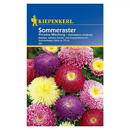 Kiepenkerl  Blumensamen Sommerastern