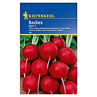 Kiepenkerl Gemüsesamen Radieschen (Raphanus sativus var. sativus, Saatzeit: Februar, Erntezeit: April)