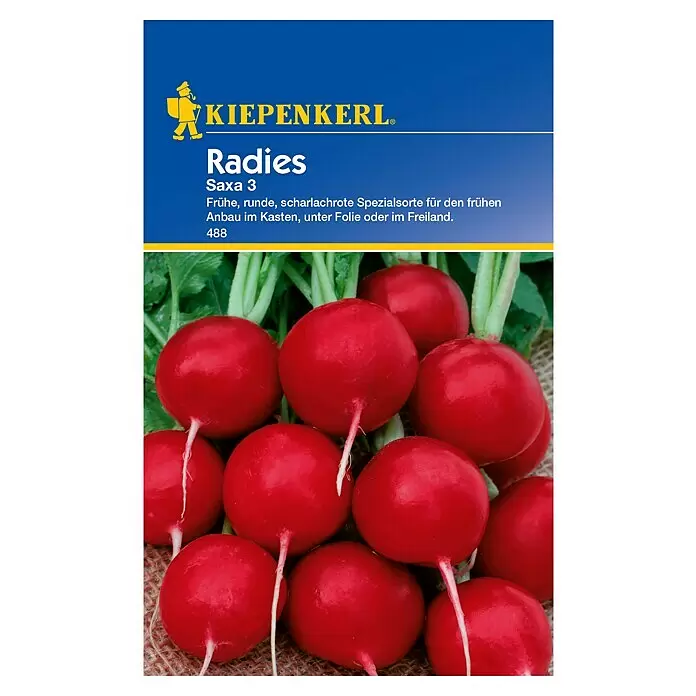 Kiepenkerl Gemüsesamen Radieschen - Raphanus sativus var. sativus, Saatzeit: Februar, Erntezeit: April - Rote runde Radieschen auf einer Saattüte, KIEPENKERL Marke und Sorte 'Saxa 3'.